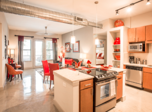 lakeshore lofts kitchen